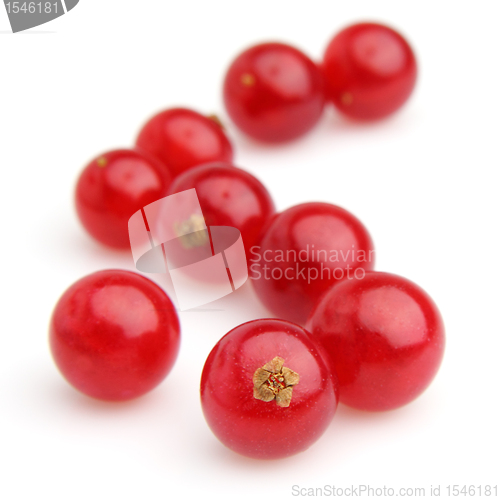 Image of Ripe berry
