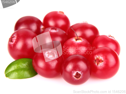 Image of Sweet cranberry with leaves