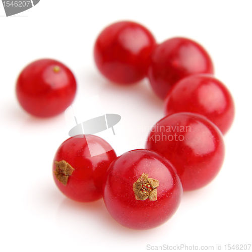 Image of Ripe currant