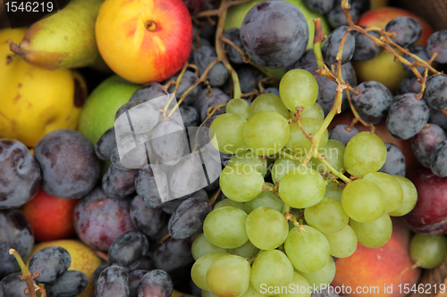Image of Ripe apples and bunch of grapes