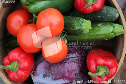 Image of Autumn Harvest