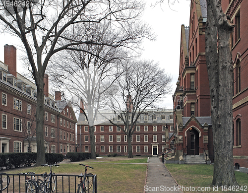 Image of Harvard Yard in Cambridge