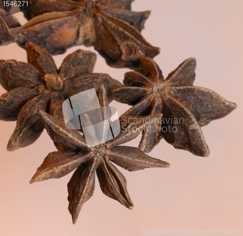 Image of spicy star-anise