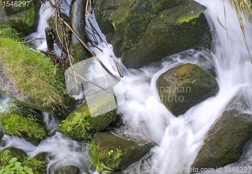 Image of Triberg Waterfalls detail