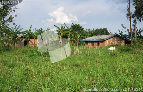 Image of around Rwenzori Mountains