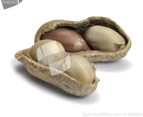Image of two open peanuts