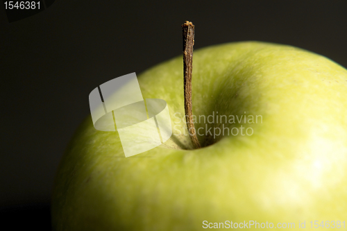 Image of green apple detail