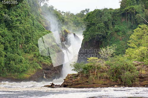 Image of Murchison Falls