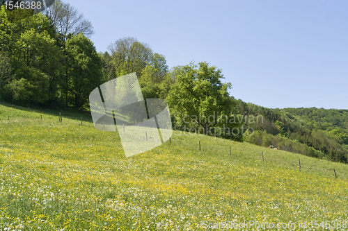 Image of idyllic spring scenery in Hohenlohe