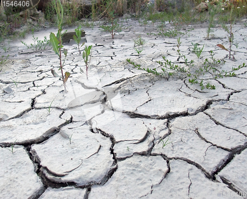 Image of chapped desert border