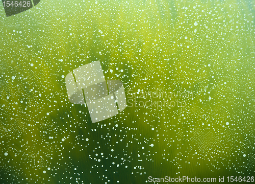 Image of white bubbles in green back