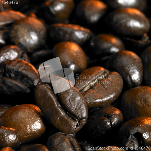 Image of coffee beans closeup