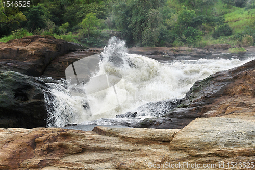 Image of whitewater at the Murchison Falls