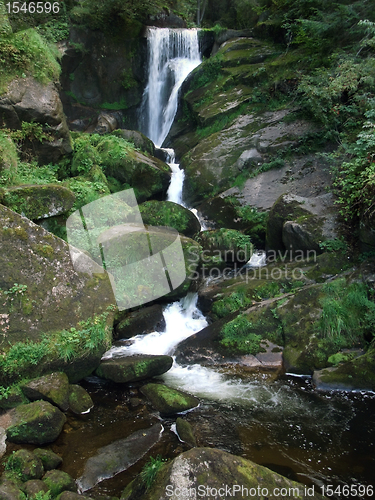 Image of idyllic Triberg Waterfalls