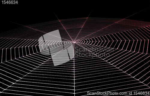 Image of painted spiderweb