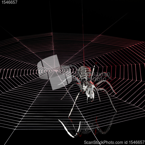 Image of metal spider and spiderweb