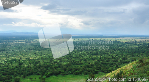 Image of around Bwindi Impenetrable Forest in Africa