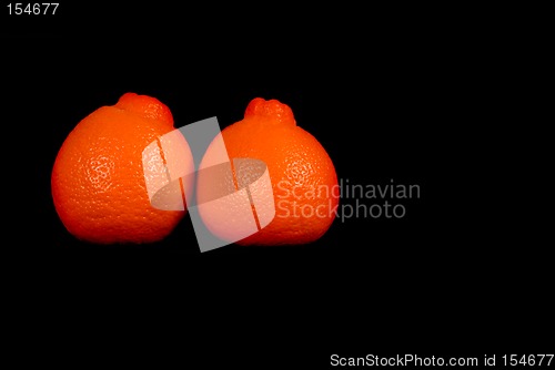 Image of Two minneola oranges