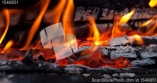 Image of Bonfire close-up view