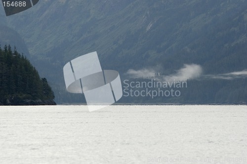 Image of Peacefull morning in fiords