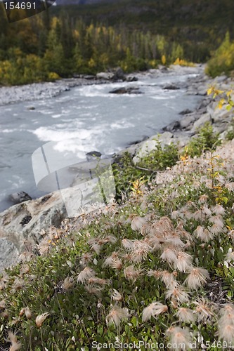 Image of Fall river landscape, shallow DOF