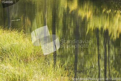 Image of Autumn reflections