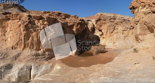 Image of Small pond in desert canyon