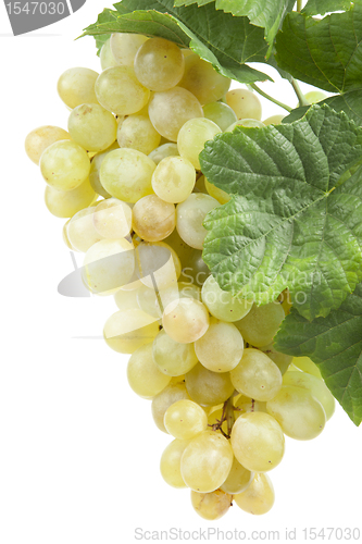Image of white grape, isolated 