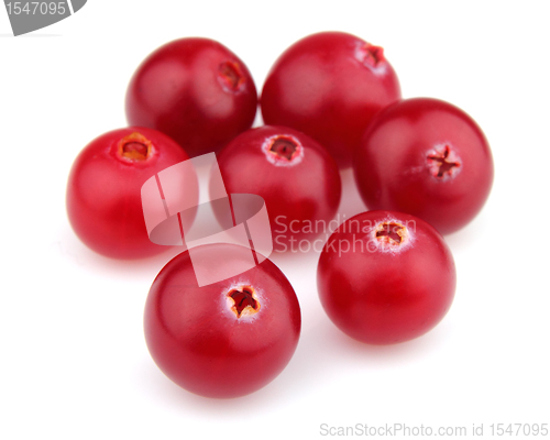 Image of Sweet cranberry