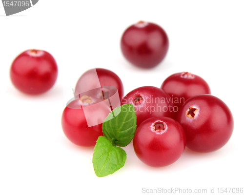 Image of Cranberry with mint