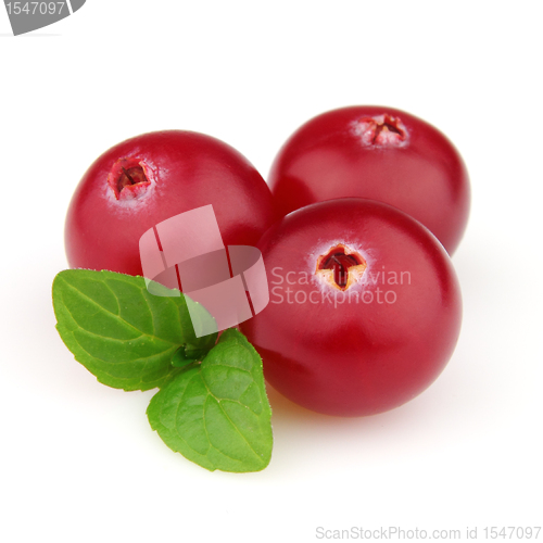 Image of Cranberry with leaves of mint