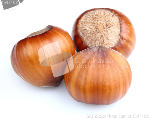 Image of Hazelnuts in closeup