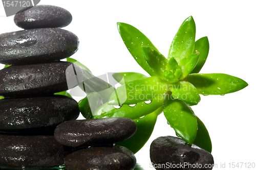 Image of Spa a stone isolated on white background 