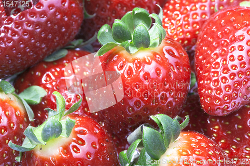 Image of Strawberries