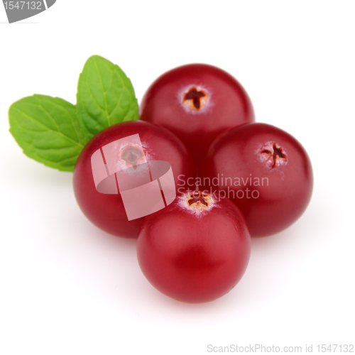 Image of Cranberry with leaves of mint