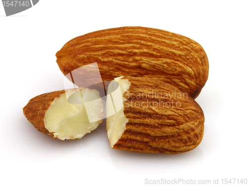 Image of Almonds kernel in closeup