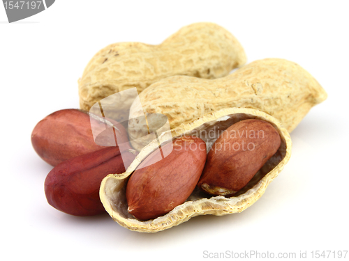 Image of Dried peanuts
