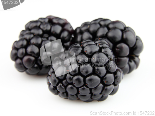 Image of Blackberry in closeup