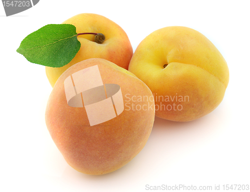 Image of Fresh apricot