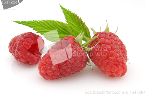 Image of Raspberry with leaves