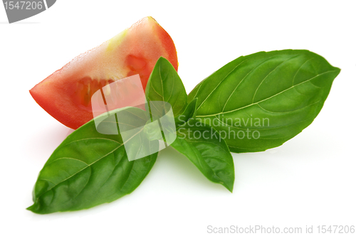Image of Twig of basil with slice of tomato