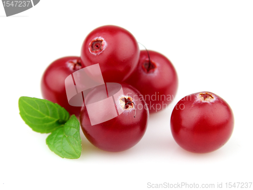 Image of Berry of cranberry with mint