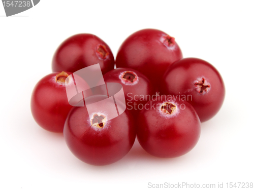 Image of Sweet cranberries