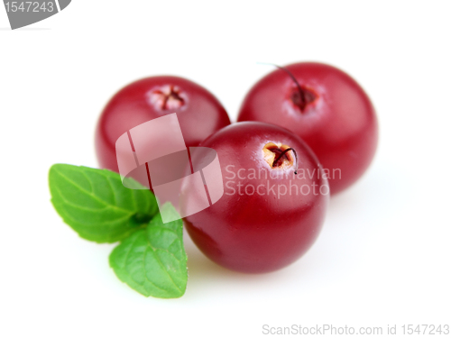 Image of Cranberry with mint