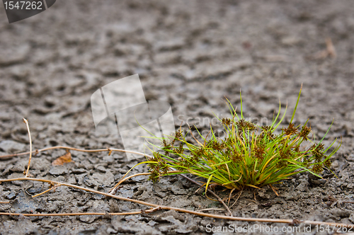 Image of Dry soil closeup before rain