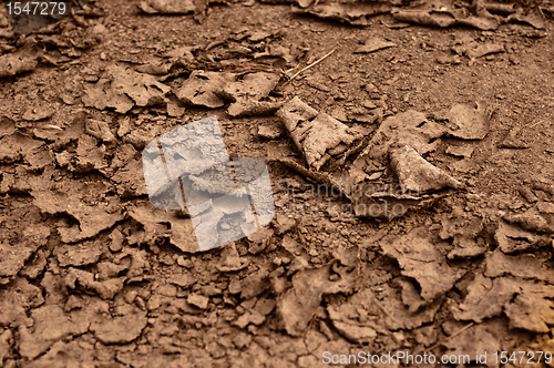 Image of Dry soil closeup before rain