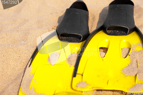 Image of Flippers in the sand on the beach