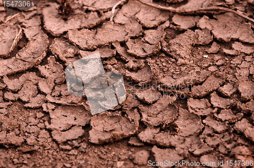 Image of Dry soil closeup before rain