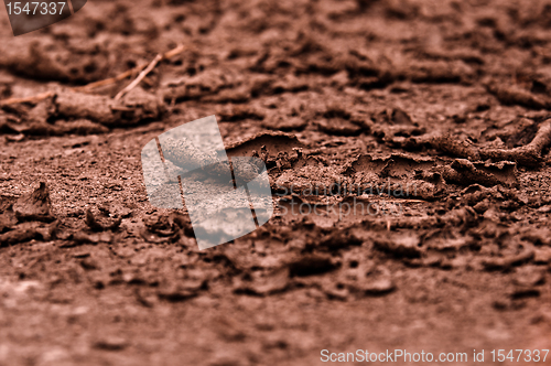 Image of Dry soil closeup before rain