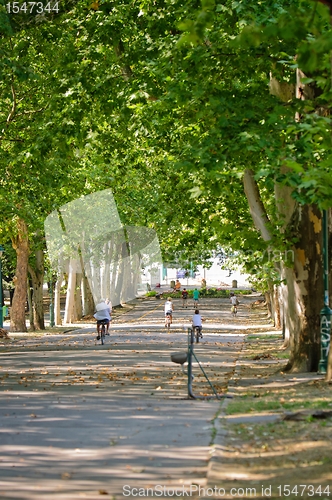 Image of pathway in the park at spring